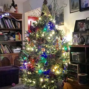 Meet your Posher, Janni